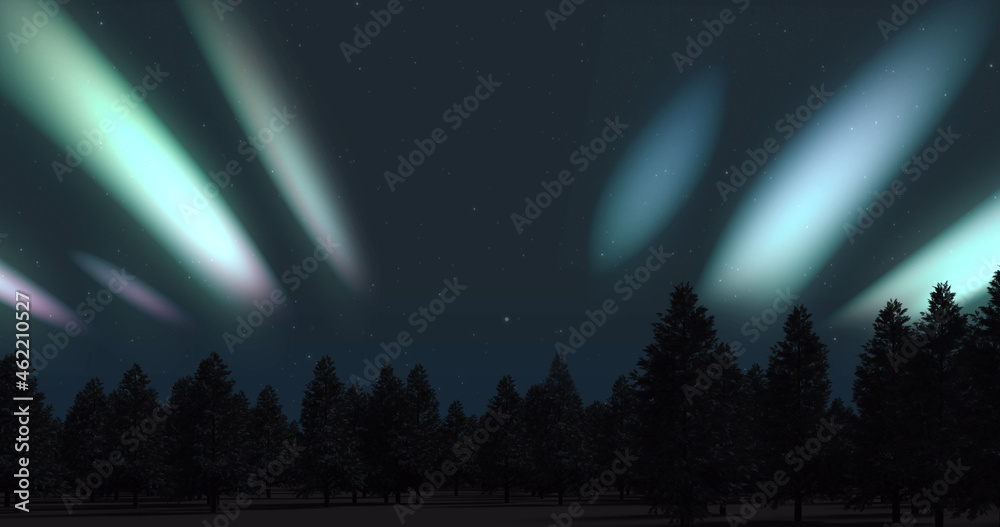 Image of aurora borealis glowing over fir trees covered in snow in winter