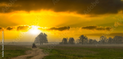cart on the road in the field at dawn