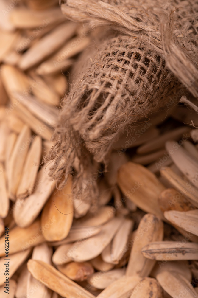 White sunflower seeds scattered on the background of coarse burlap, close-up selective focus. White sunflower seeds scattered on the background of coarse burlap, close-up selective focus.