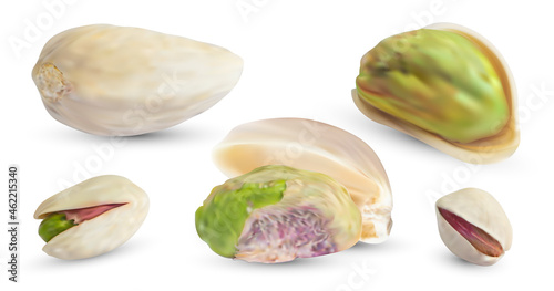 Vector pistachios nuts and dry shell. Realistic 3d kernel. Salted pistachio isolated on white background. Cooking food illustration.