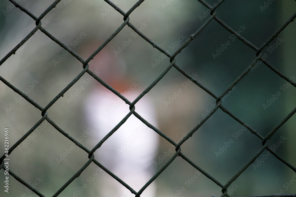 Fototapeta premium link fence