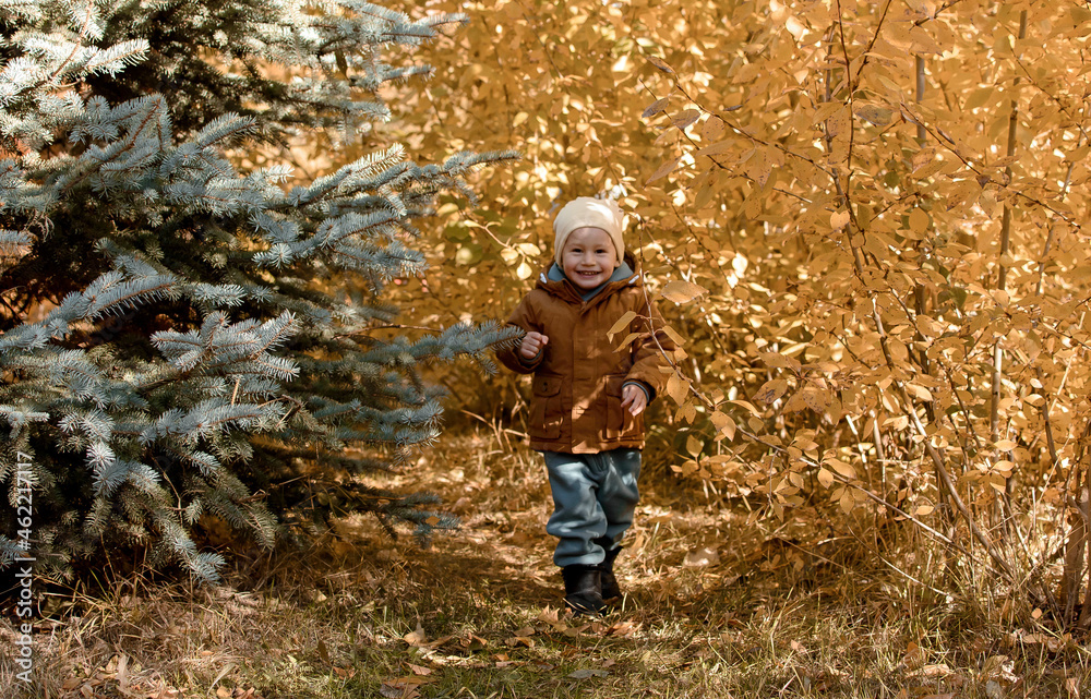 A happy little child, laughing and playing in the fall on a nature walk in the open air. The concept of childhood and the season A happy little child, laughing and playing in the fall on a nature walk in the open air. The concept of childhood and the season