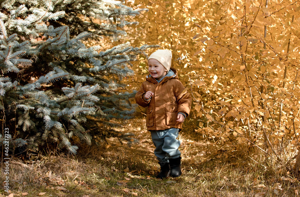 A happy little child, laughing and playing in the fall on a nature walk in the open air. The concept of childhood and the season
