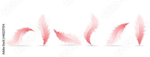 Realistic feather isolated on white background. Realistic feather collection for web site, wallpaper, poster, placard, cover and print materials. Creative art concept, vector illustration, eps 10