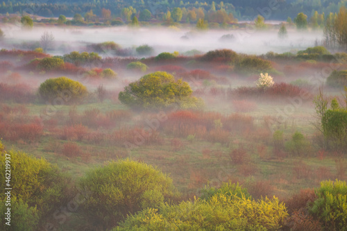 morning fog over the river floodplain in autumn