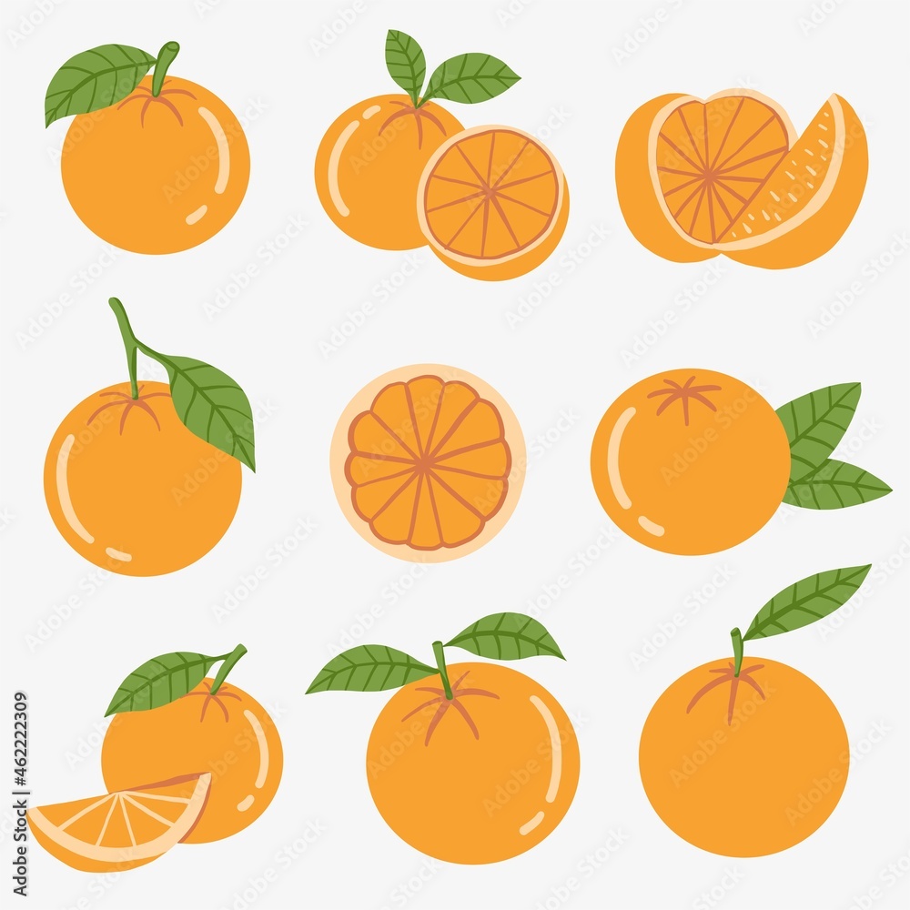Doodle freehand sketch drawing of orange fruit. Doodle freehand sketch drawing of orange fruit.