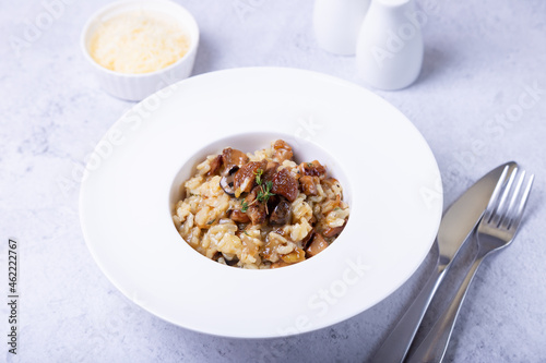 Risotto with porcini mushrooms. Traditional Italian dish. Close-up, horizontal orientation.