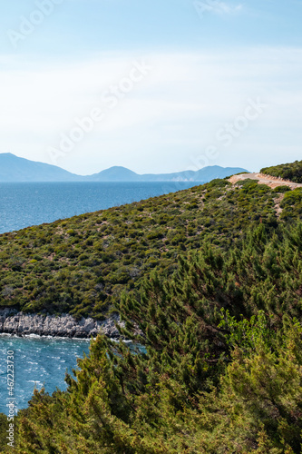 Greenery, cliffs, sunny sea shore on a bright clear blue day in Greece. Scenic travel destination. Lefkada island, Ionian sea coast. Vertical
