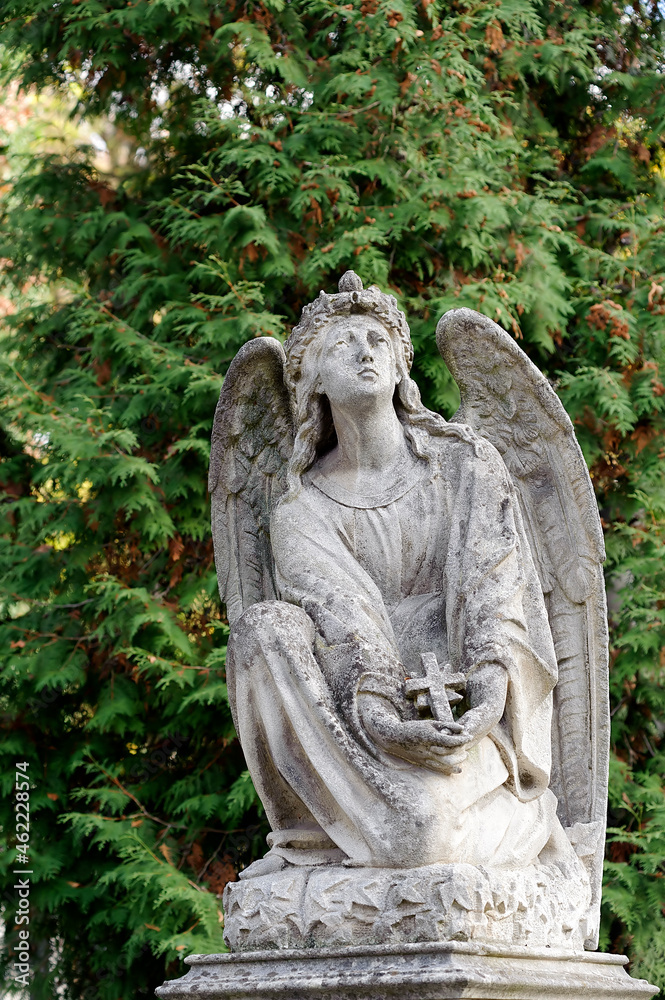 Old tombstone with angel in Lychakiv cemetery in Lviv Ukraine