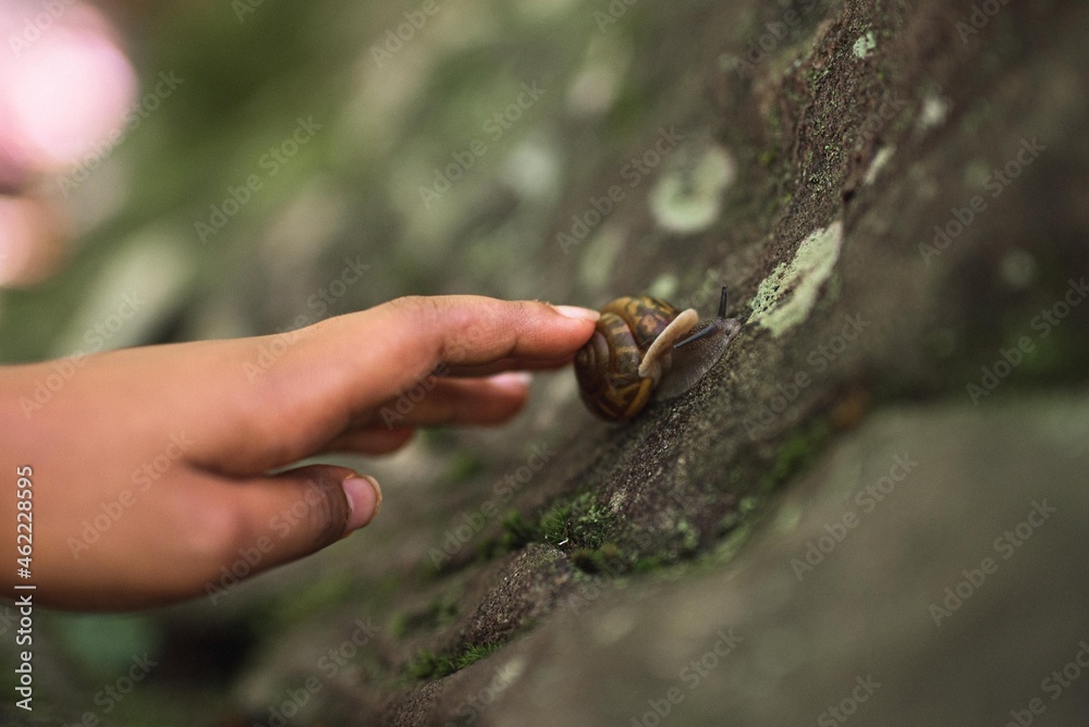 a child's touch