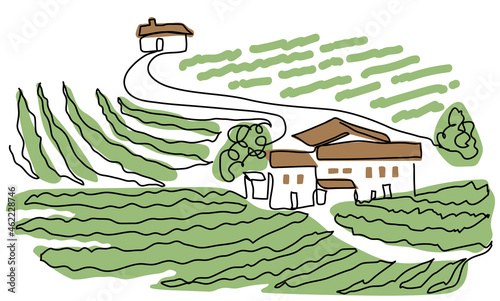 Vineyard farm one continuous line art drawing. Simple vector sketch illustration. Landscape with grape rows. Vineyard farm minimalist color design for wine label