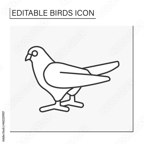  Dove line icon.Stocky bird with small head, short legs, and cooing voice. Symbol of peace.Birds concept. Isolated vector illustration. Editable stroke