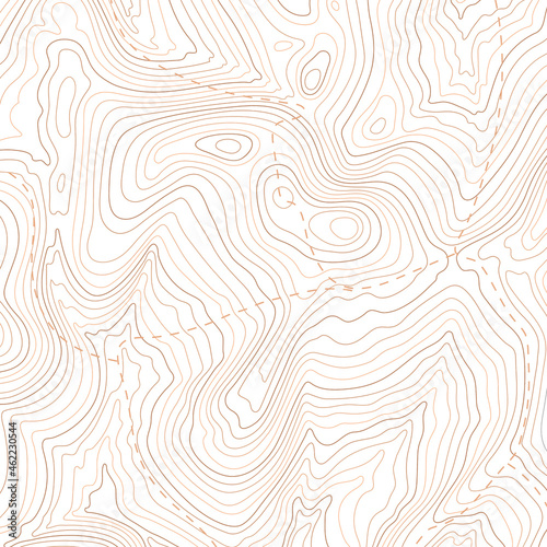 Topographic map pattern, topography line map. Vector stock illustration