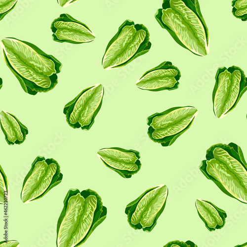 Seamless pattern lettuce Romano on pastel green background. Minimalism texture with salad.