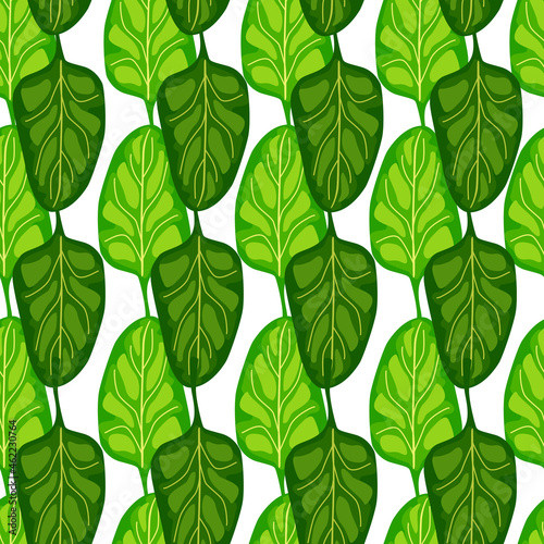Seamless pattern Spinach salad on white background. Modern ornament with lettuce.