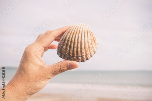 Hand holding a seashell