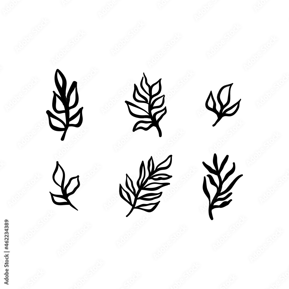 Little branches and floral doodles, hand drawn sketch drawings of plants, branches and leaves. Vector illustration. Little branches and floral doodles, hand drawn sketch drawings of plants, branches and leaves. Vector illustration.
