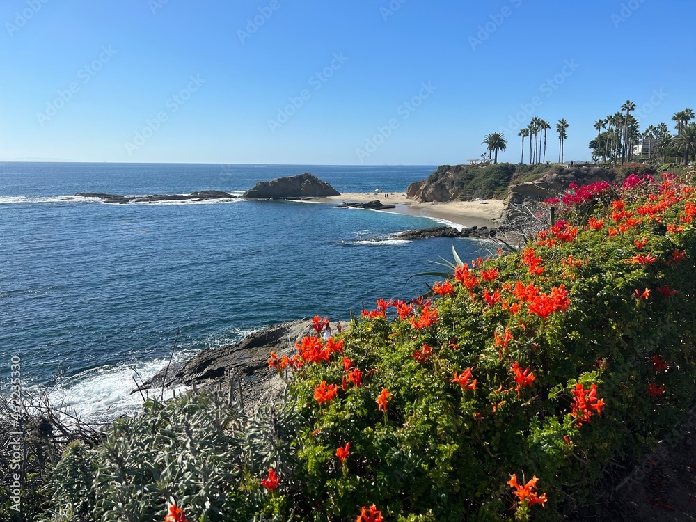 The Pacific coast of California is very diverse. Wild beaches, cliffs and exotic flora and fauna have been preserved here. This is a favorite vacation spot for the population. California (USA).