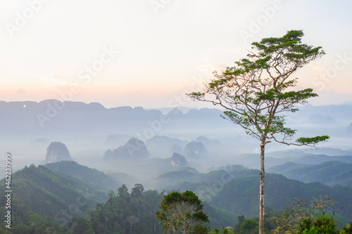 Doi Ta Pang (khao thalu) Chumphon