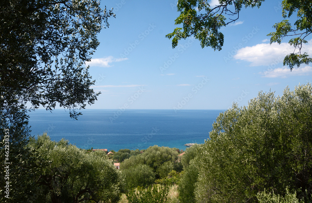In Cilento there is peace among the olive trees and the beauty of the Mediterranean sea in Campania In Cilento there is peace among the olive trees and the beauty of the Mediterranean sea in Campania