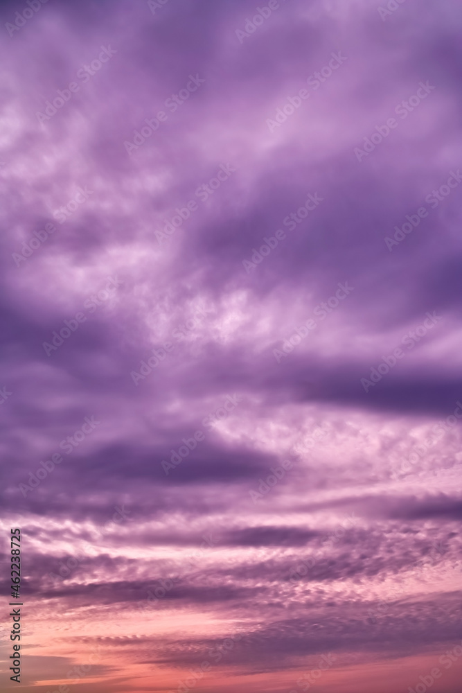 Fototapeta premium 紫色に染まる夕暮れ