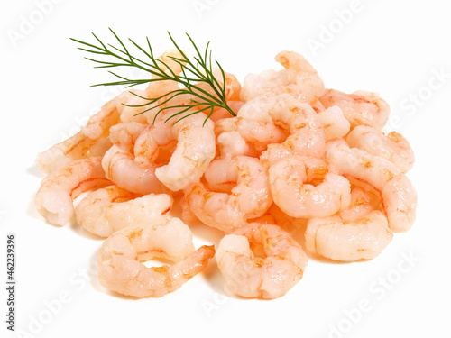 Small Shrimp - Shrimps isolated on white Background