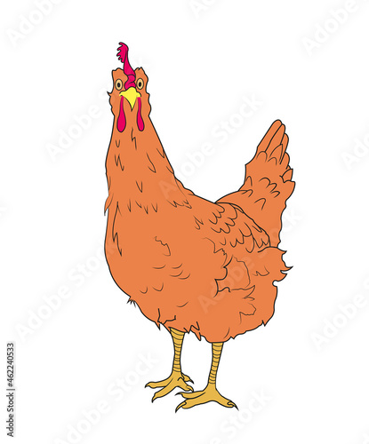 dibujo de gallina con colores naturales