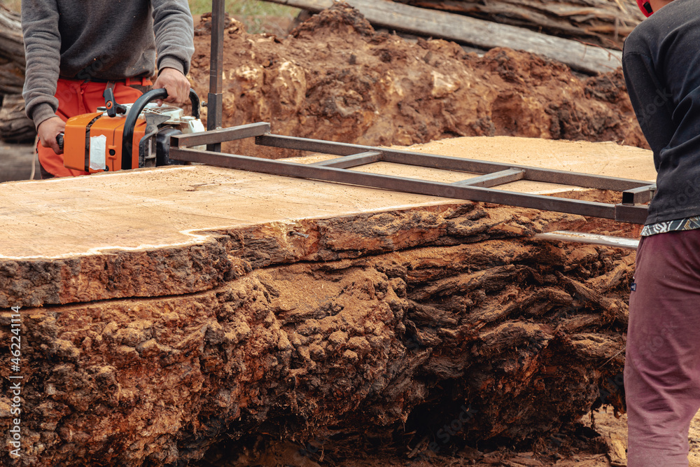 Closeup of lumberjack cutting tree trunk with giant chainsaw to make wooden planks Closeup of lumberjack cutting tree trunk with giant chainsaw to make wooden planks