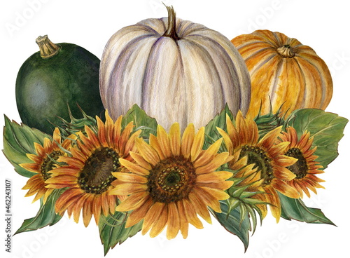 Watercolor illustration  pumpkins and sunflowers.