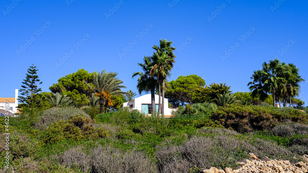 house in the trees with blue sky. architecture and nature, Menorca, Balearic Islands, Spain
