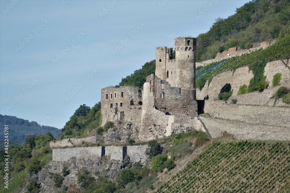 Burg Ehrenfels mit Weinbergen bei Rüdesheim am Rhein