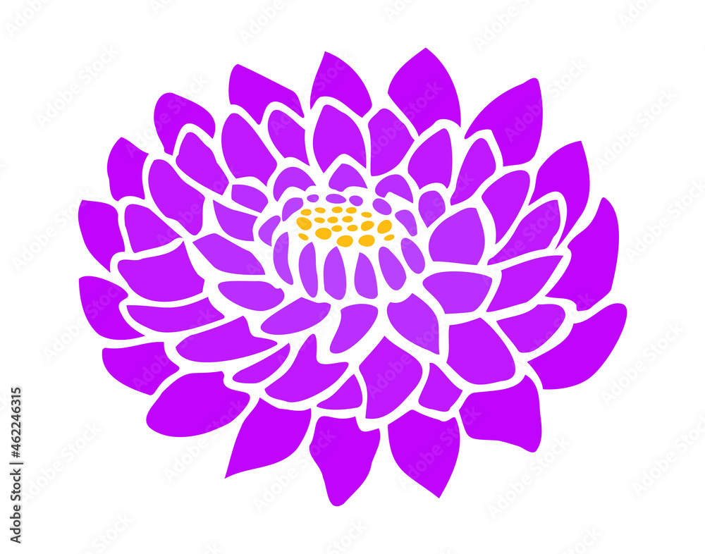 Fototapeta premium Crimson aster flower silhouette imprint