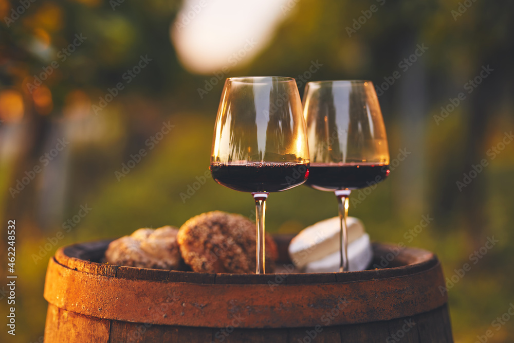 Two glasses full of red wine on an old barrel in the vineyard - obrazy, fototapety, plakaty 