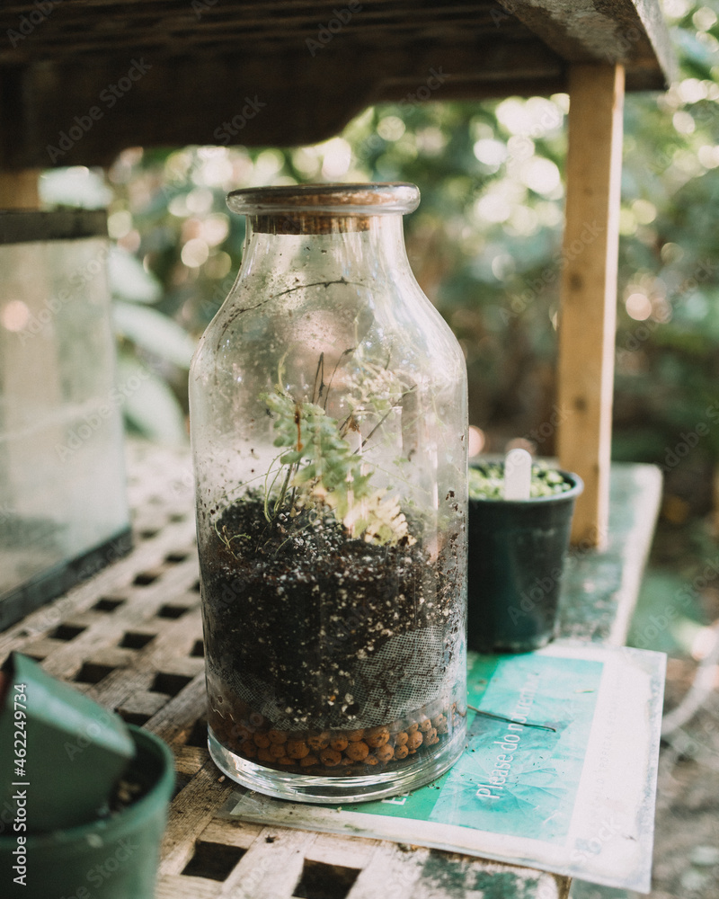Nature inside a jar Nature inside a jar