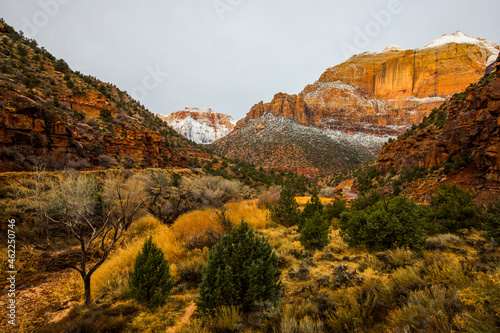 Winter sunrise in Zion National Park  United States of America