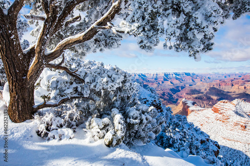 Winter in Grand Canyon National Park, United States Of America