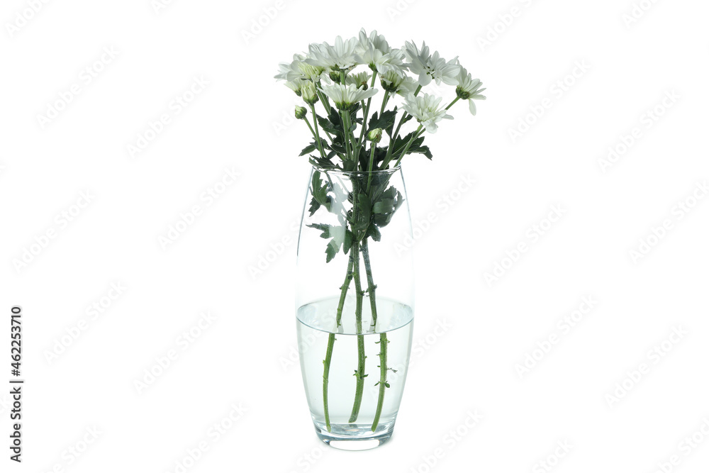 Obraz premium Vase with white chrysanthemums isolated on white background