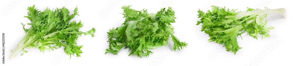 Fresh green leaves of endive frisee chicory salad isolated on white background with full depth of field. Set or collection