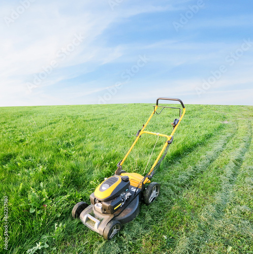 Grass mowed by a lawn mower. Lawn care on the lawn in front of the house.