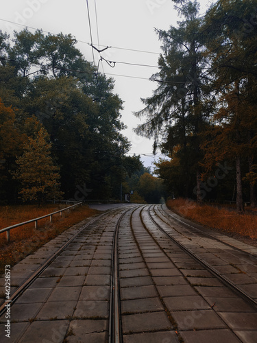 Beautiful landscapes with views of forests, houses, rivers, seas and railway tracks.