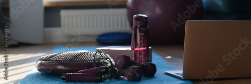 Картината върху платно Dumbbell balancing cushion and sports equipment on sports mat with laptop