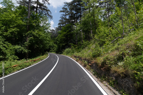 Asphalt road in the forest on a sunny day