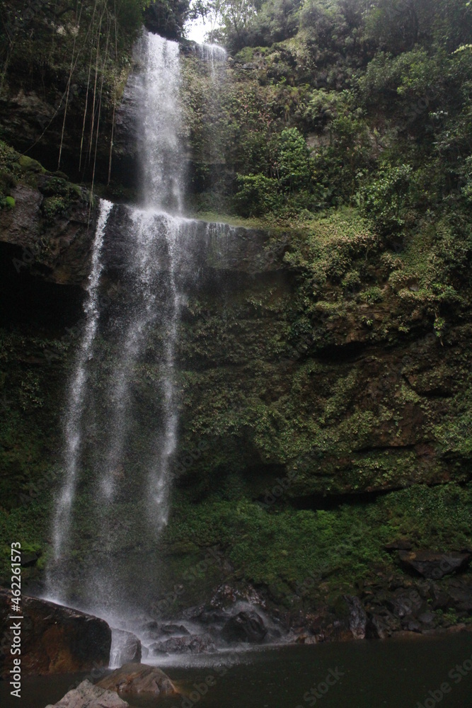 Fototapeta premium waterfall in the jungle