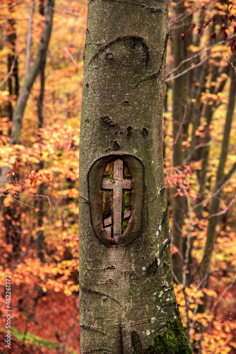 Obraz na płótnie Image of a Christian cross on a tree in the autumn forest. w salonie