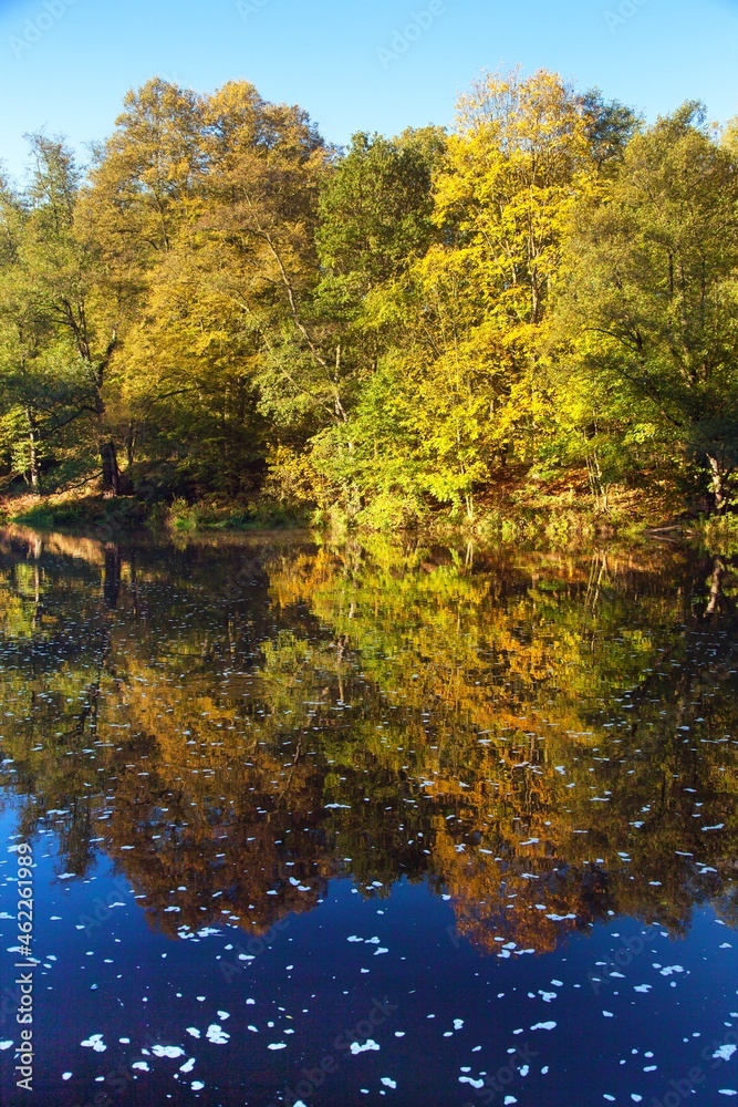 Ohre river and autumnal view forest mirroring lake