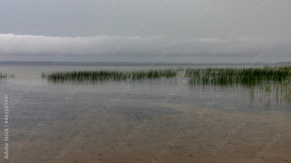 rain in August evening on Latvia biggest lake Razna, Grey  cloudy sky, smooth calm water surface, reeds reflecting in water
