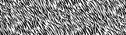 Vector Tiger black white stripe background. Animal skin banner.
