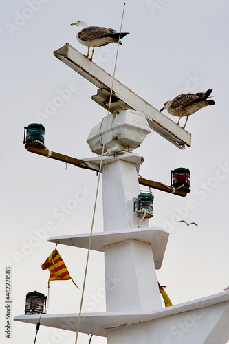 Fishing boat tower with seagulls on it