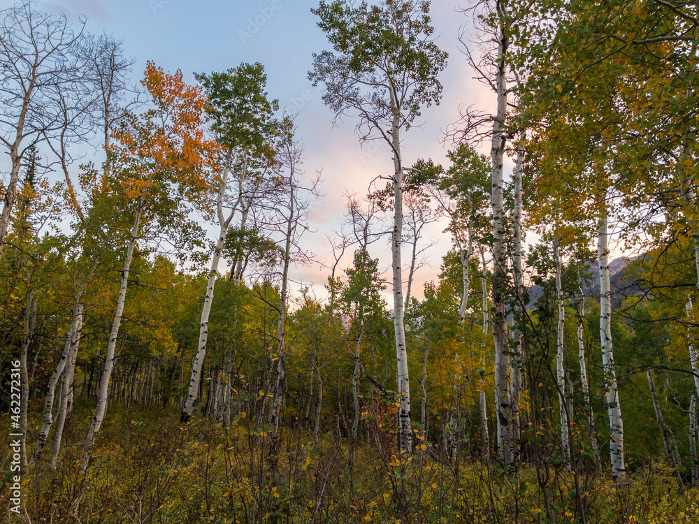 Fall sunset on the Alpine Loop in Provo Canyon Fall sunset on the Alpine Loop in Provo Canyon