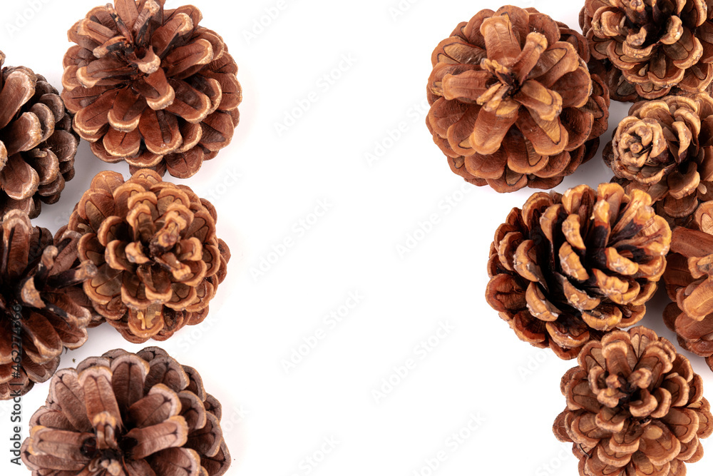 Pine cones isolated on a white background, photography Pine cones isolated on a white background, photography